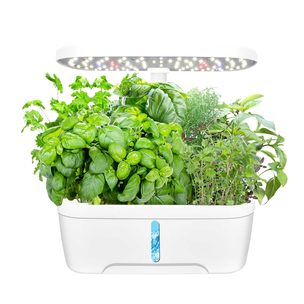 Green Grow hidroponics sistem de creștere 6 capsule, alb